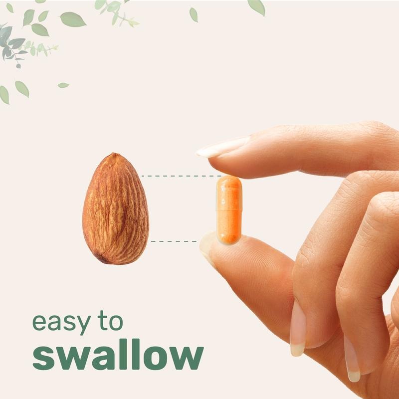 Luvi Turmeric Curcumin